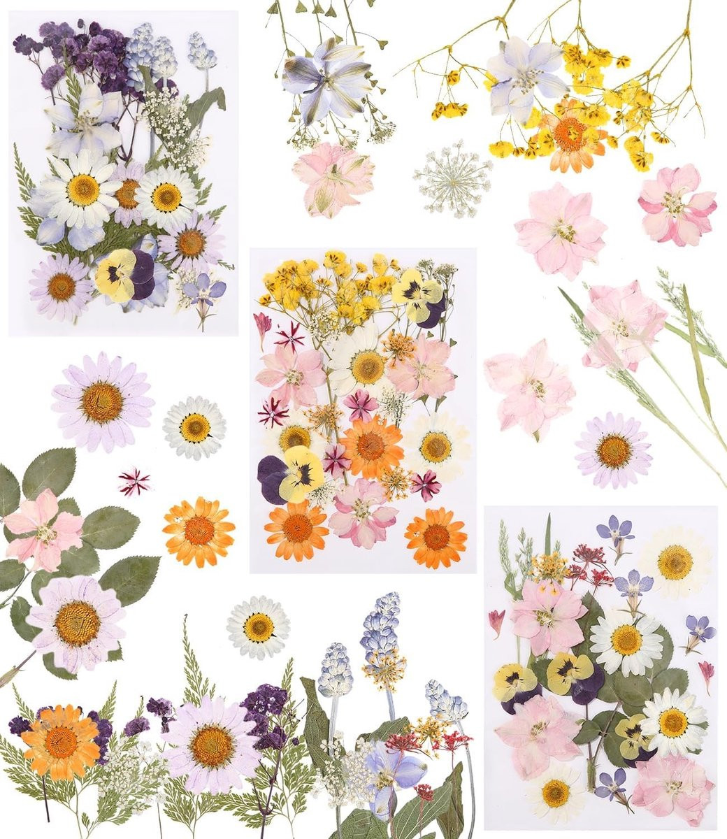 Set van 66 gedroogde bloemen voor creatieve DIY-projecten en decoratie