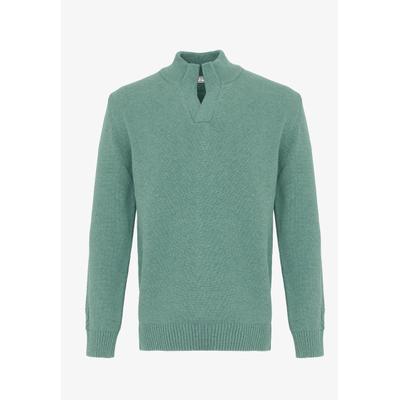 Stehkragenpullover FELIX HARDY "Pullover Stehkragen", Herren, Gr. L, grün, 100% Baumwolle, hoch geschlossener Ausschnitt, Pullover Stehkragenpullover