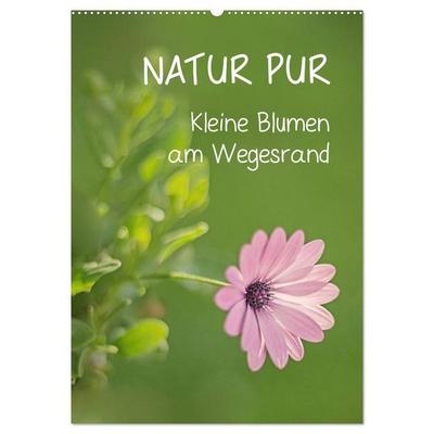NATUR PUR Kleine Blumen am Wegesrand (Wandkalender 2026 DIN A2 hoch), CALVENDO Monatskalender
