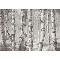 FOTOTAPETE 208x146 cm - Birkenwald