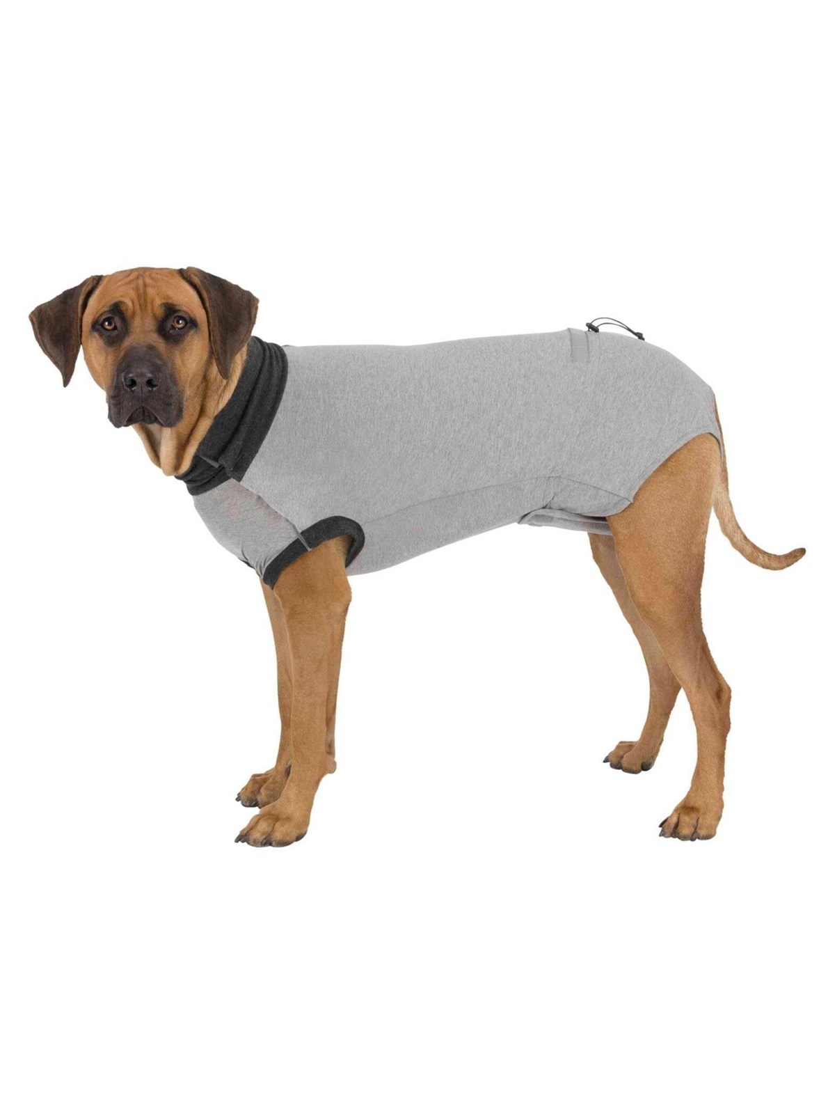 Trixie Schutzbody für Hunde Größe: S-M Rückenlänge: 40cm