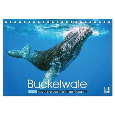 Buckelwale: Aus den blauen Tiefen der Ozeane (Tischkalender 2027 DIN A5 quer), CALVENDO Monatskalender