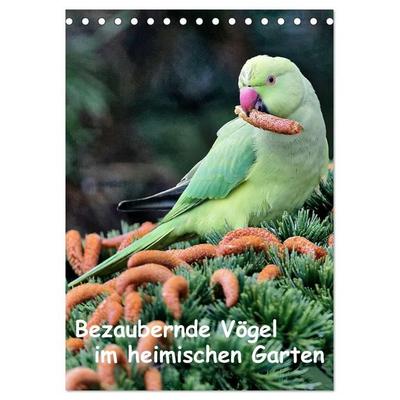 Bezaubernde Vögel im heimischen Garten (Tischkalender 2027 DIN A5 hoch), CALVENDO Monatskalender