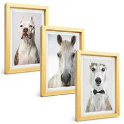 BILDER SET 3er Set - 20x30 cm Goldrahmen - Elegante Porträts von Hunden und Pferden