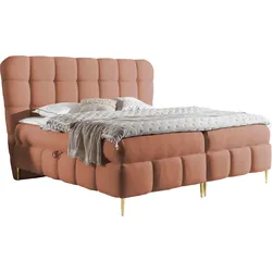 BOXBETT Lolly - H3
