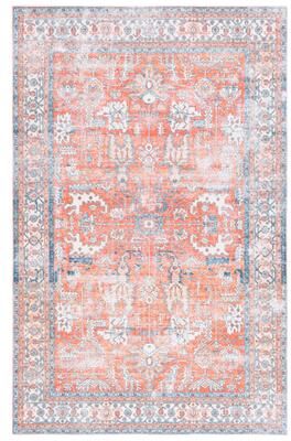 SAFAVIEH Arizona Senga Vintage Machine Washable Rug