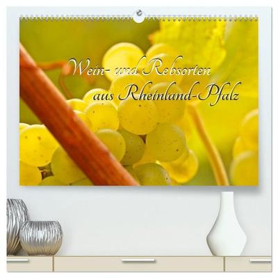 Wein- und Rebsorten aus Rheinland-Pfalz (hochwertiger Premium Wandkalender 2027 DIN A2 quer), Kunstdruck in Hochglanz