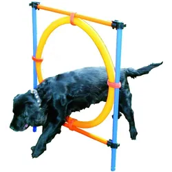 Pawise Agility Ring Ø55Cm - (636.9004) (One Size, Agility), Agility
