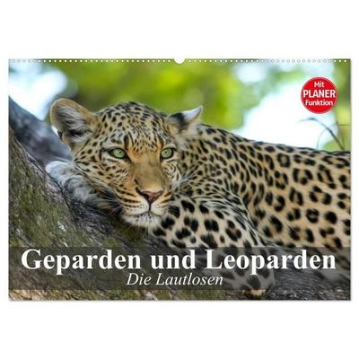 Die Lautlosen. Geparden und Leoparden (Wandkalender 2027 DIN A2 quer), CALVENDO Monatskalender