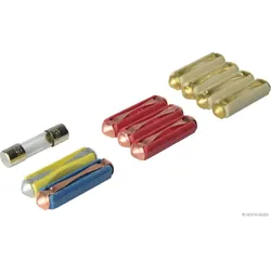 HERTH&BUSS Sicherungssatz, Torpedo,glas, 2-25 A, 10 pcs - 50296110066