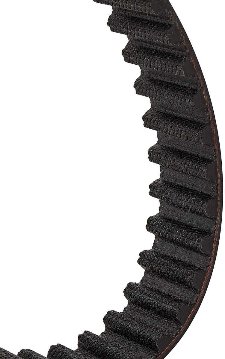 DAYCO 94956 Zahnriemen