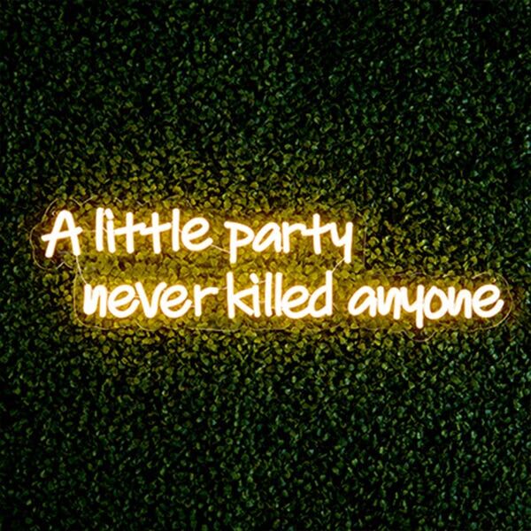 Premier Decorations Premier 'A Little Party Never Killed Anyone' LED Neon Wall Sign