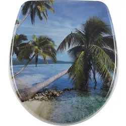 Diaqua, WC Deckel, Palm