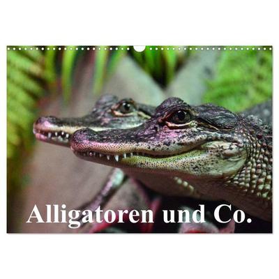 Alligatoren und Co. (Wandkalender 2026 DIN A3 quer), CALVENDO Monatskalender