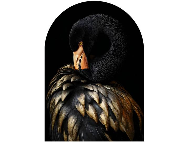 Glasbild BLACK FLAMINGO 1 Stück glas schwarz 100x70x2cm