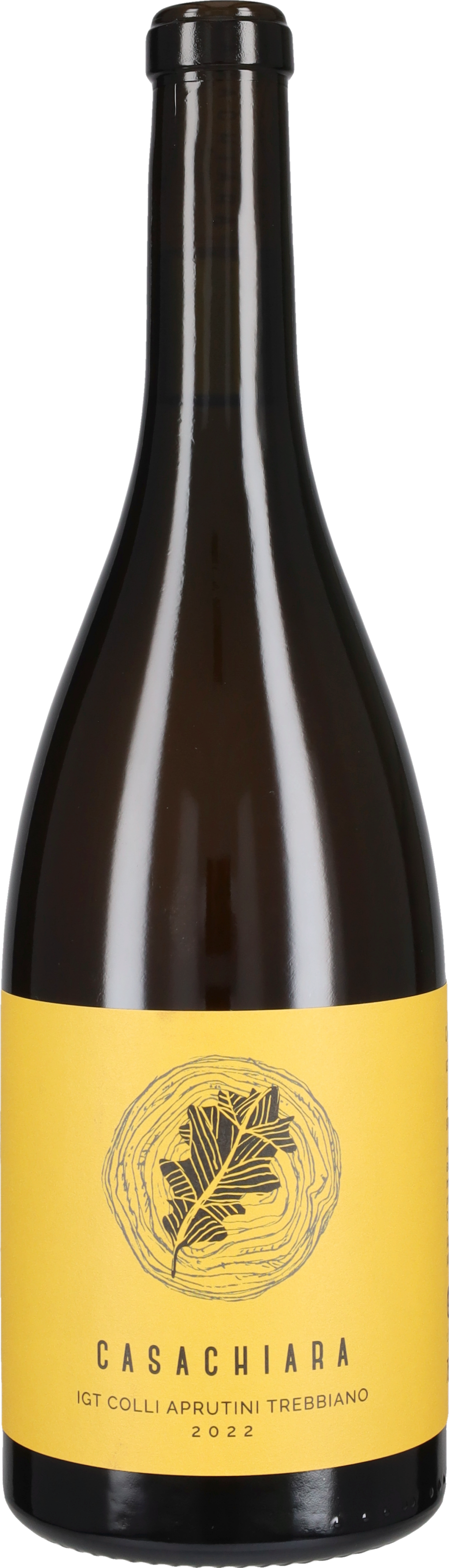 Casachiara Trebbiano d'Abruzzo 2022