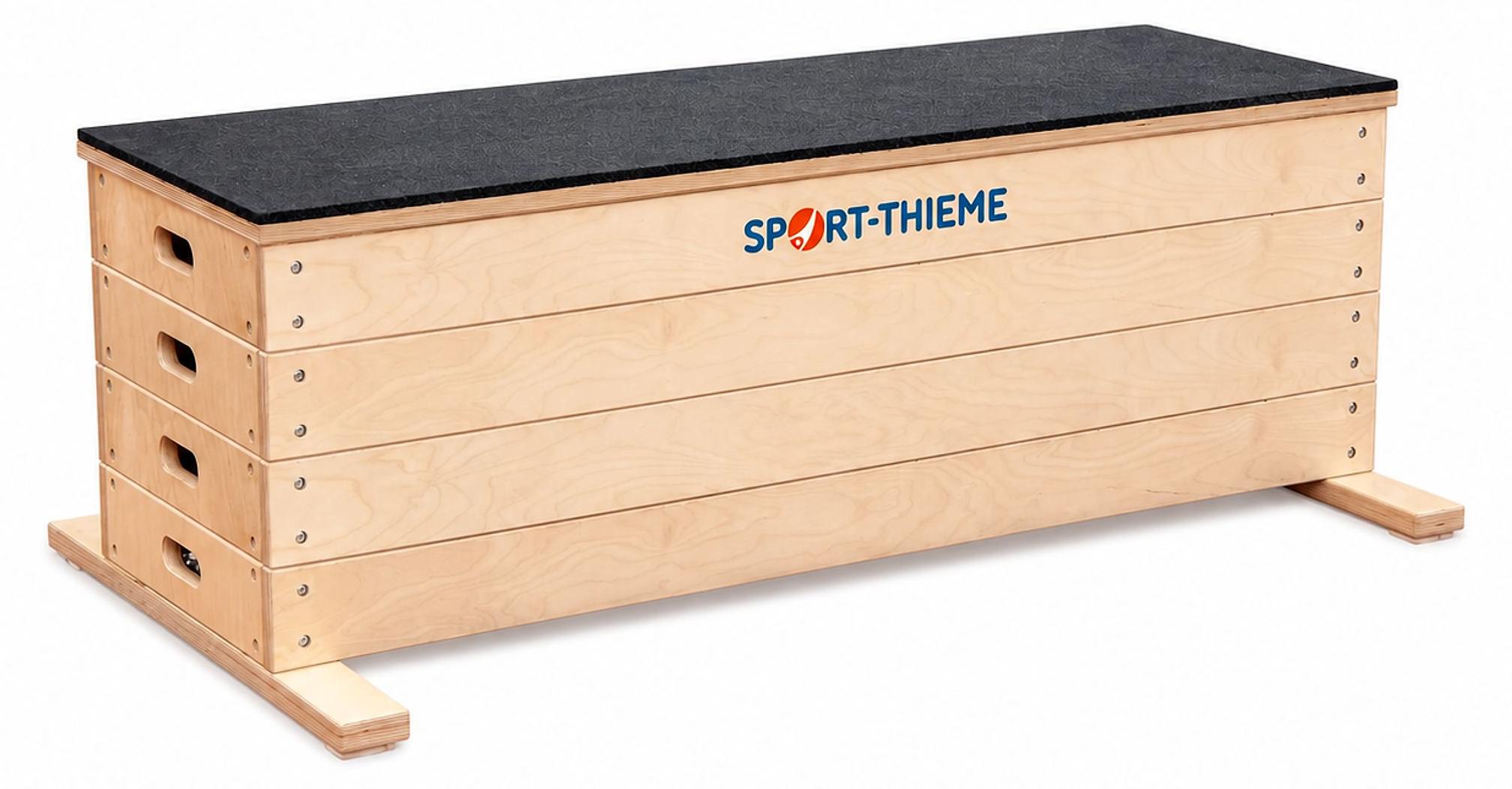 Sport-Thieme Sprungkrafttrainer "Jump", Set M