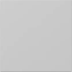 Gira 3496015 Wippe gerade System 55 Grau m
