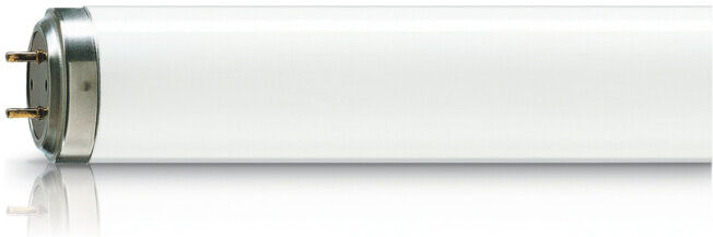 Philips Lampe fluorescente TL 20W/52 SLV/25 (64302540)