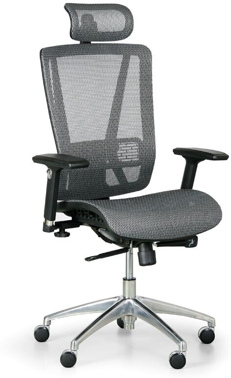 B2B Partner Bürostuhl LESTER M, grau