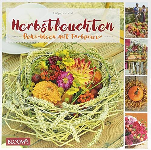 Evelyn Schinckel - Herbstleuchten: Deko-Ideen mit Farbpower - Preis vom 14.10.2026 23:07:16 h
