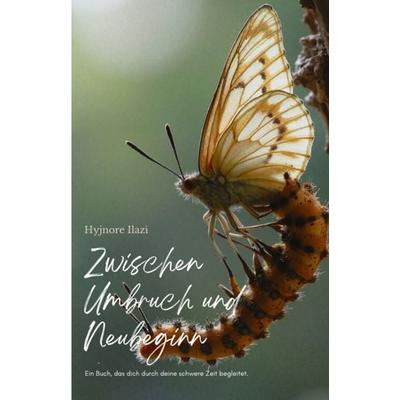 Zwischen Umbruch und Neubeginn, Taschenbuch von Hyjnore Ilazi, Tredition, 978-3-384-74907-9