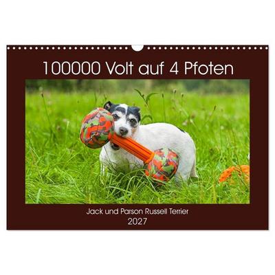 100000 Volt auf vier Pfoten - Jack und Parson Russell Terrier (Wandkalender 2027 DIN A3 quer), CALVENDO Monatskalender