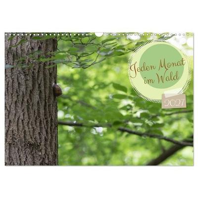 Jeden Monat im Wald (Wandkalender 2027 DIN A3 quer), CALVENDO Monatskalender