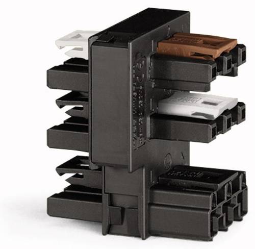 WAGO Netz-Verteiler Netz-Stecker, Netz-Buchse, Netz-Buchse - Netz-Buchse, Netz-Buchse, Netz-Buchse Gesamtpolzahl: 3 Schwarz 10St.