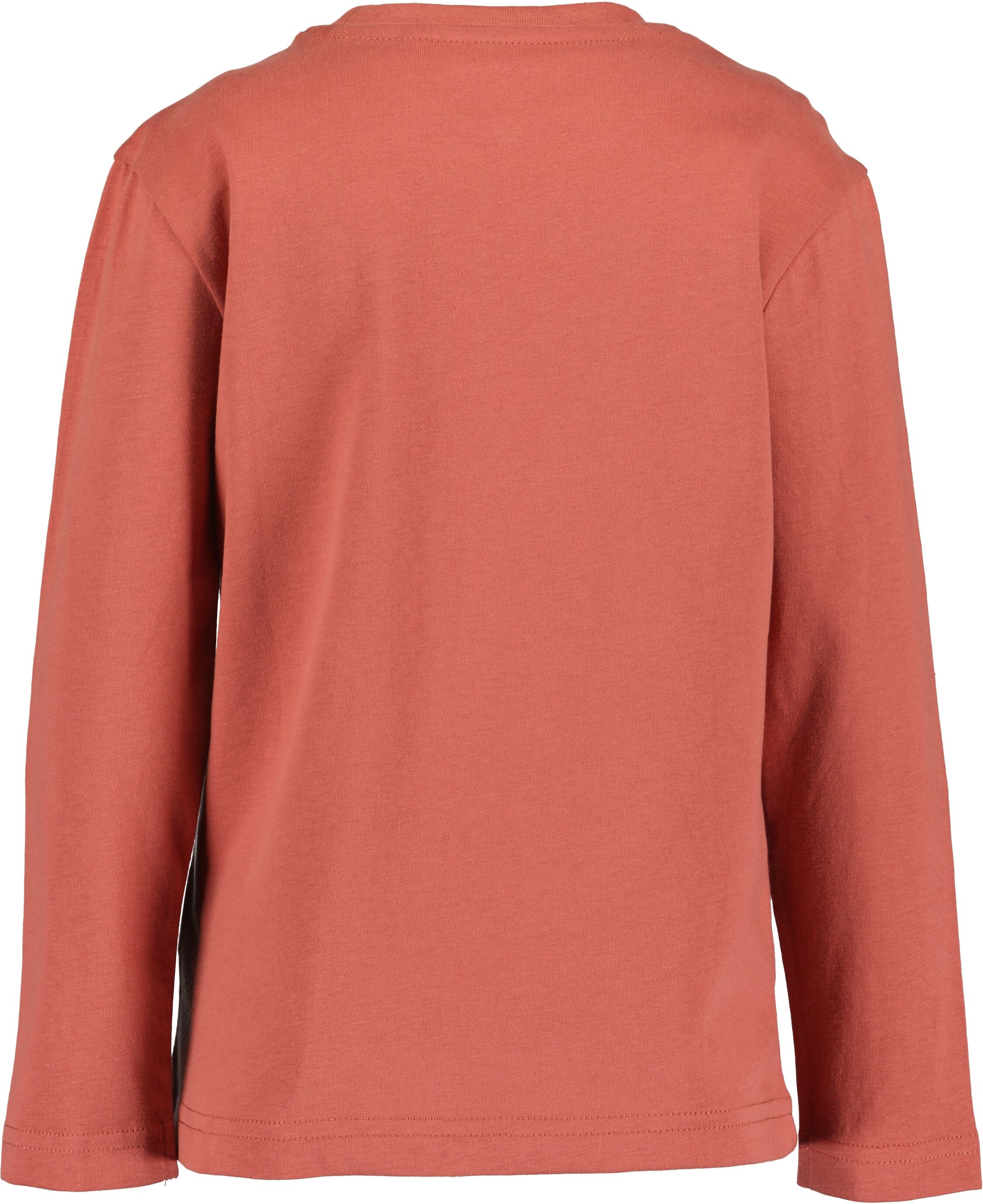 Langarmshirt BLUE SEVEN "2er Pack Langarmshirts", Jungen, Gr. 98, bunt (m001, multipack 1), 100% Baumwolle, normal, Rundhals, Shirts Langarmshirt