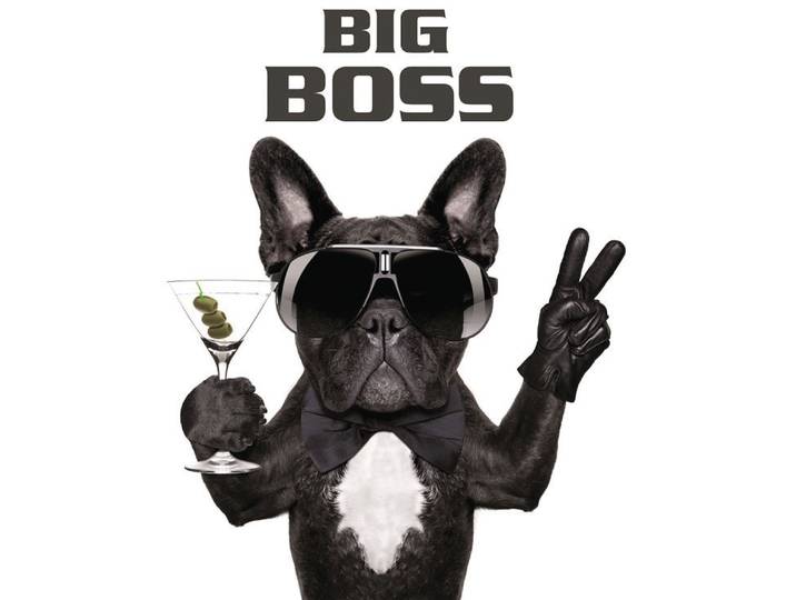 Leinwandbild BÖNNINGHOFF Wandbild HUND BIG BOSS 46x61 cm – Leinwandbild Keilrahmen Deko modern , schwarz (farbe bild(er): schwarz, weiß), B:46cm H:61cm T:2cm, Canvas, MDF, Bilder, Leinwandbild, auf Keilrahmen gespannt
