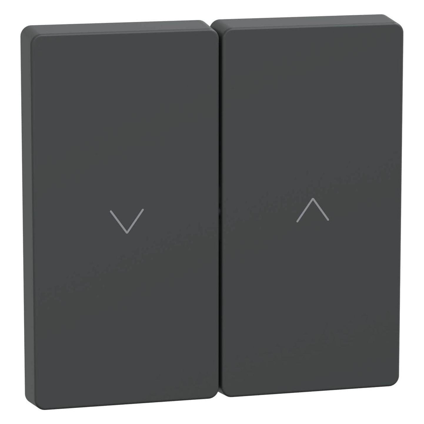 Merten Wippe Anthrazit System Design (MEG3855-6034)