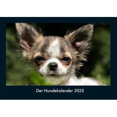 Der Hundekalender 2025 Fotokalender DIN A4