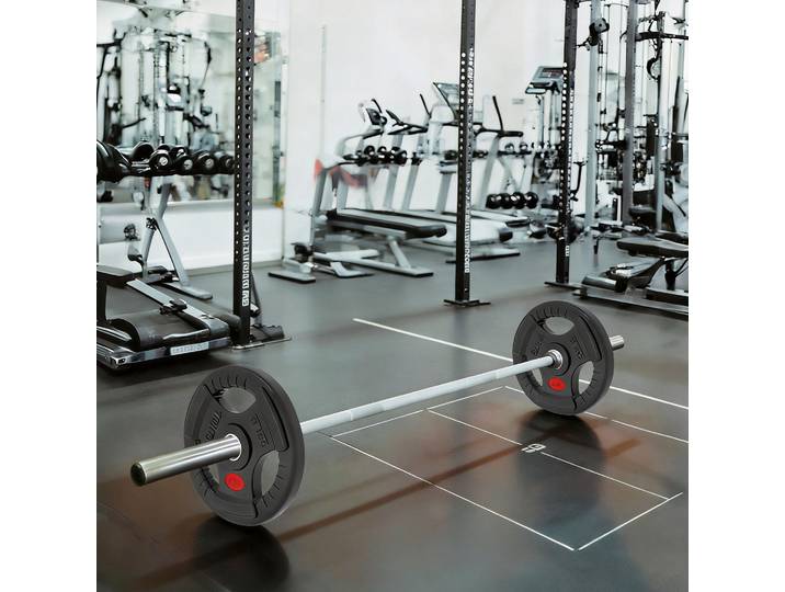 SPORTNOW Disques Olympiques 2x10kg Ø50mm Triple Prise Noir