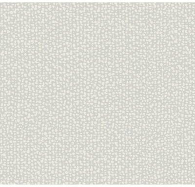 Antonina Vella Galaxies Grey Wallpaper