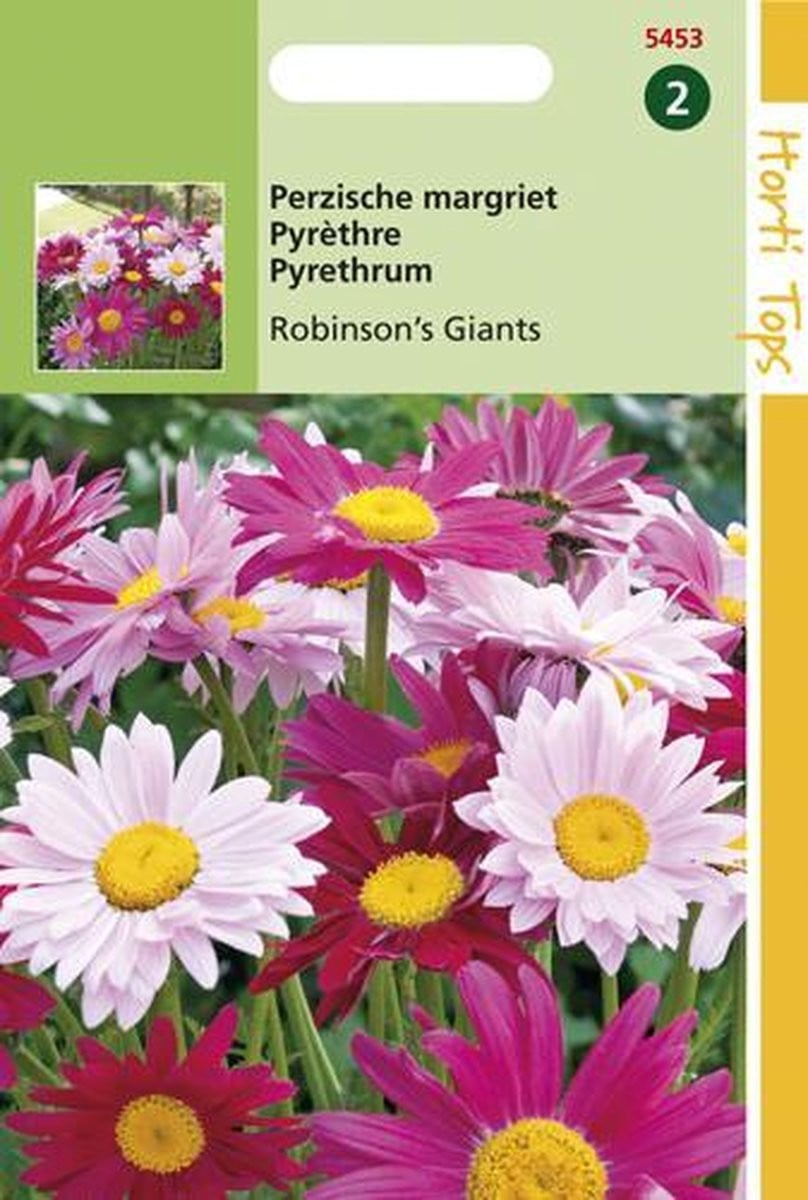 Hortitops Perzische Margriet Bloemzaad - Robinson's Giants - Gemengd