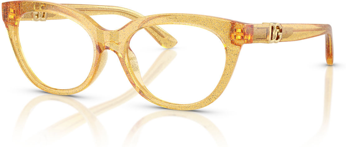 Lunettes de vue Dolce & Gabbana DX 5005U (3455)