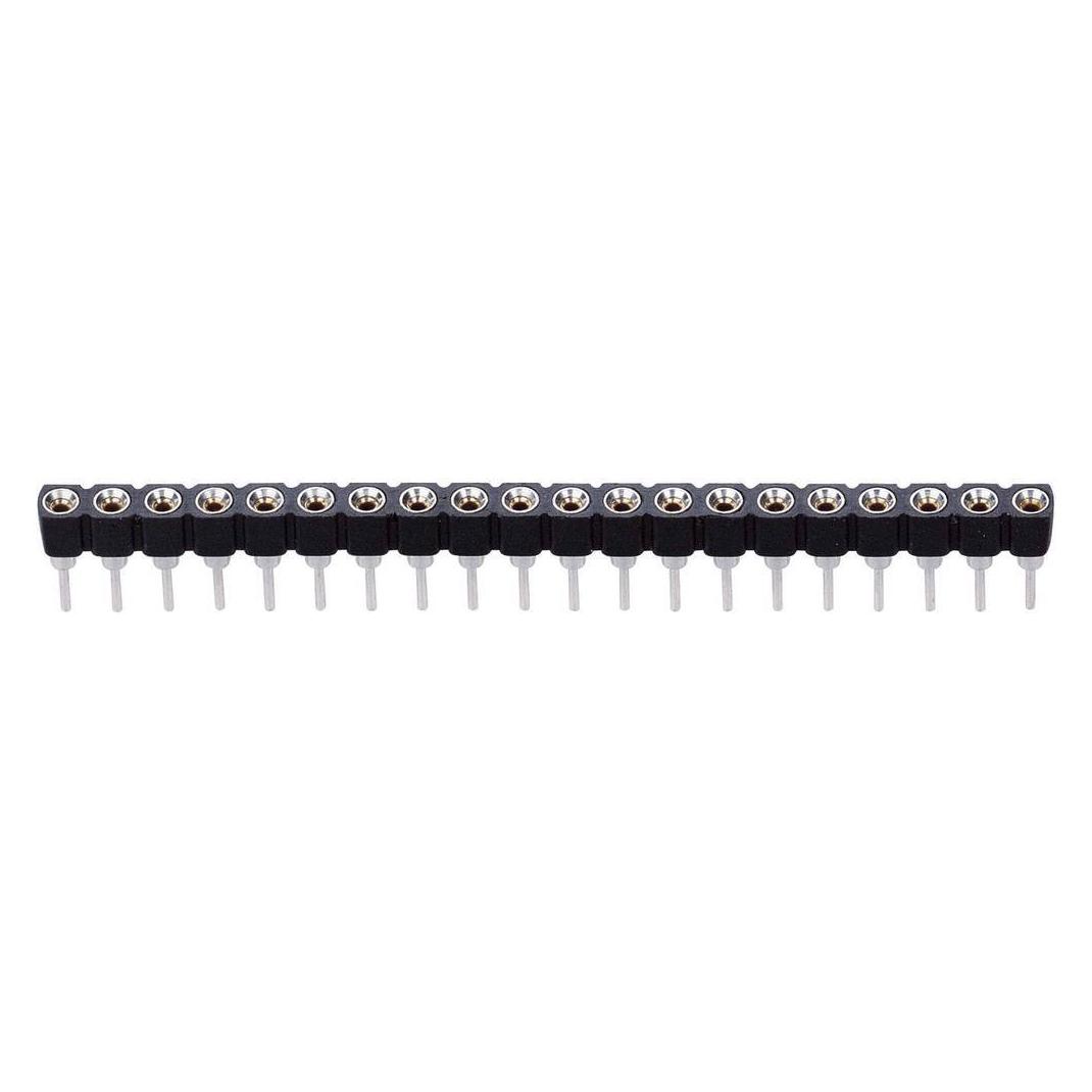 BKL Electronic Präzisions-Buchsenleiste RM 2.54 mm (10120834)