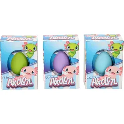 Roost Ei mit wachsendem Axolotl