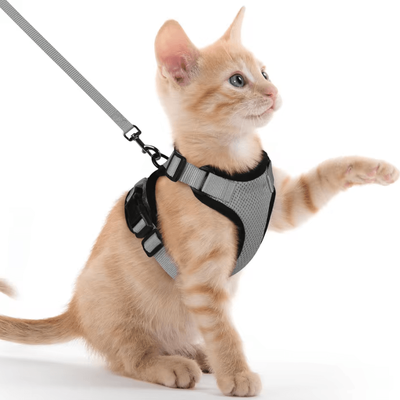 Inspire Curations Reflective Escape Proof Cat Harness & Leash Set For Safe Outdoor Adventures gray s