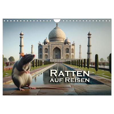 Ratten auf Reisen (Wandkalender 2027 DIN A4 quer), CALVENDO Monatskalender