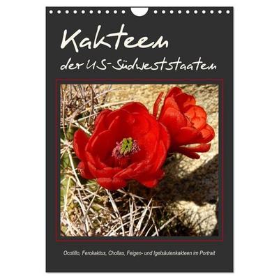Kakteen der US-Südweststaaten (Wandkalender 2027 DIN A4 hoch), CALVENDO Monatskalender