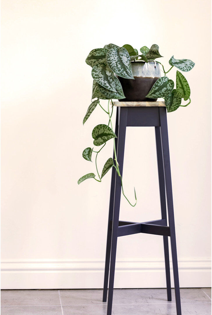 Ophelia & Co. Decatur Solid Wood Pine Plant Stand 2 Tier Navy Blue H80 x L28 x D28cm