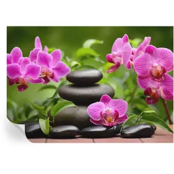 FOTOTAPETE 312x219 cm - Orchideensteine