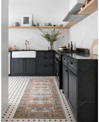 Alexander Home Tremezzina Printed Distressed Area Rug