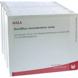 DISCI/Rhus toxicodendron comp.Ampullen 20X10 ml