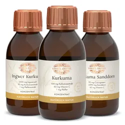 Vorteilsset Kurkuma + Ingwer Kurkuma + Kurkuma Sanddorn Konzentrat