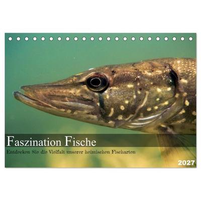 Faszination Fische (Tischkalender 2027 DIN A5 quer), CALVENDO Monatskalender