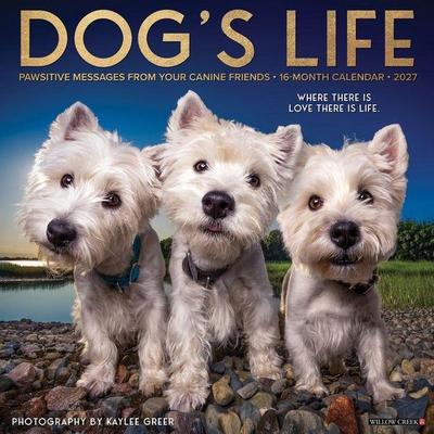 Dog's Life 2027 12 X 12 Wall Calendar