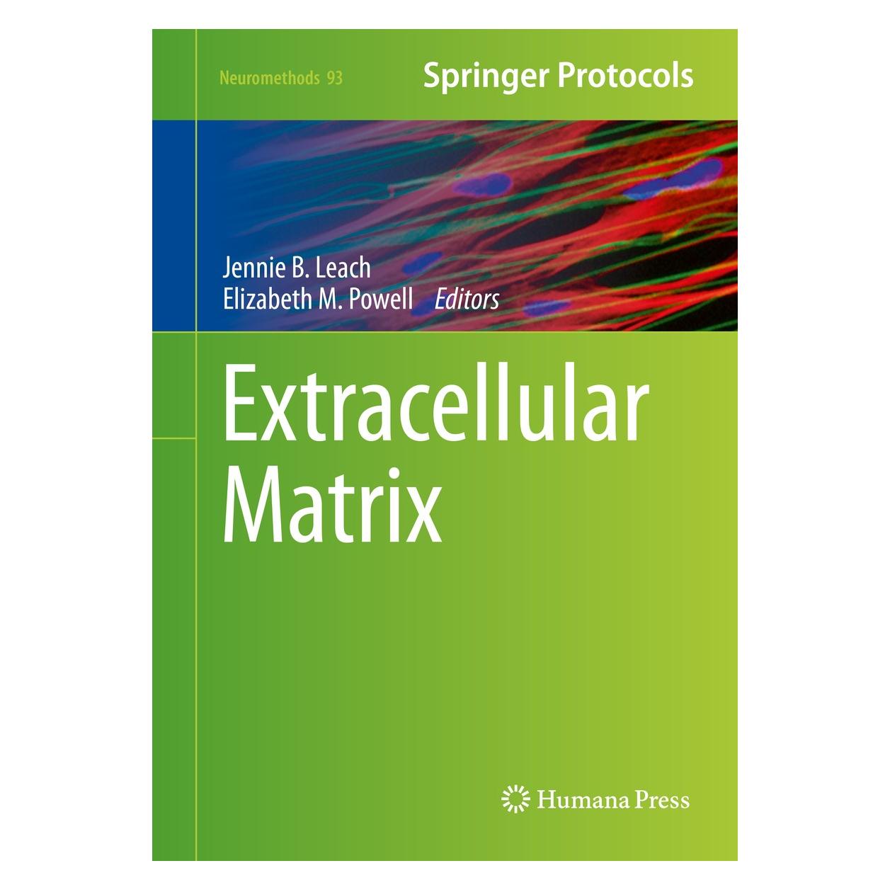 Springer Extracellular Matrix (Englisch, Hardcover, Elizabeth M. Powell, Jennie B. Leach) (9781493920822)